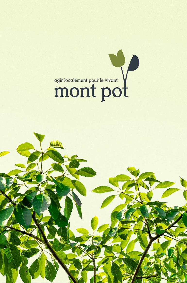 Projet Mont Pot, identité visuelle et site WordPress pour une association engagée dans la sauvegarde des végétaux.
