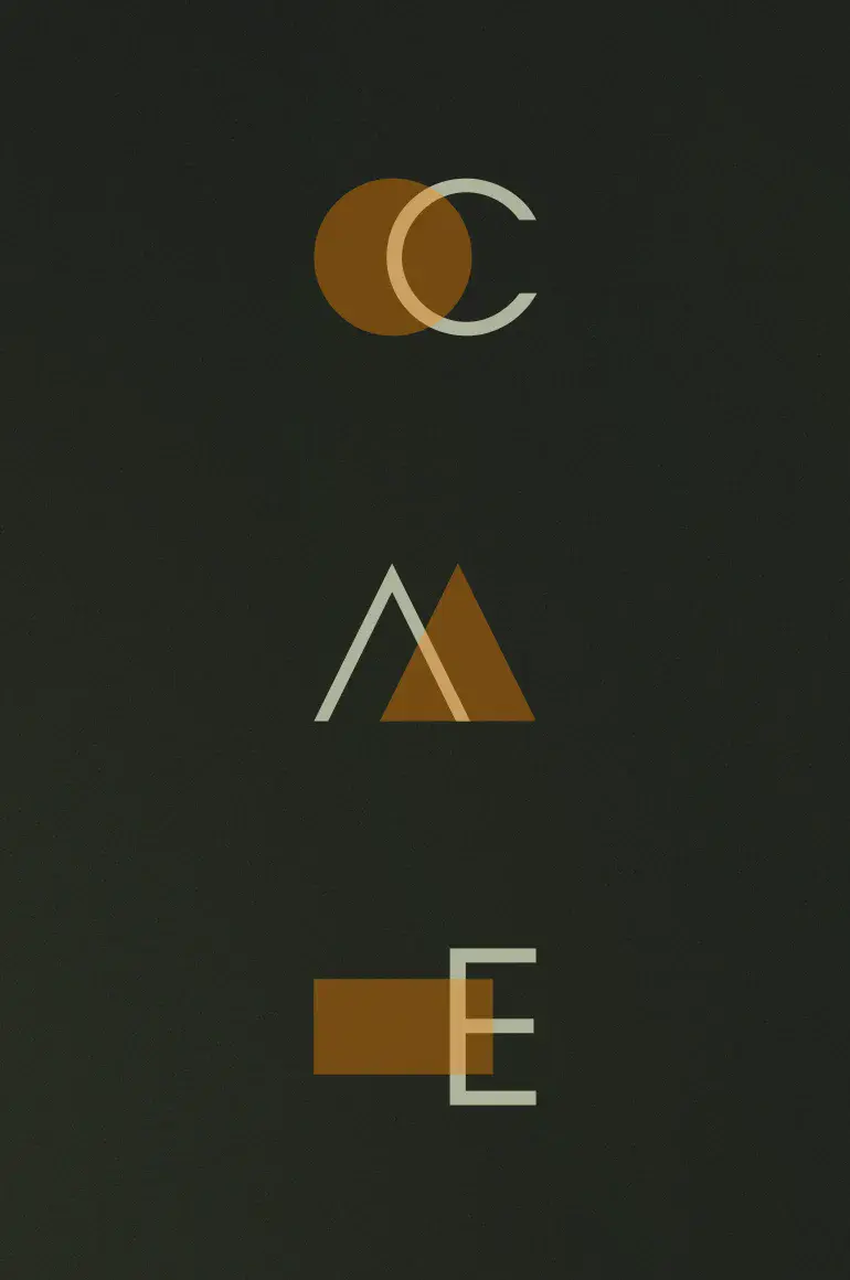 Projet Swissdev, Cabinet d'architecture à Nyon en Suisse.